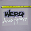 WERQ Logo Transfers: 19 Styles!